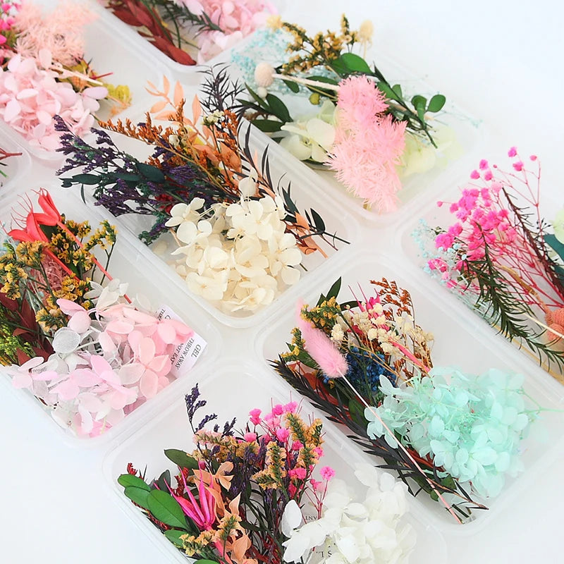 NONECN Real Dried Flowers Leaves Set for Craft Jewelry Resin