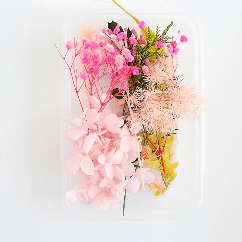 NONECN Real Dried Flowers Leaves Set for Craft Jewelry Resin