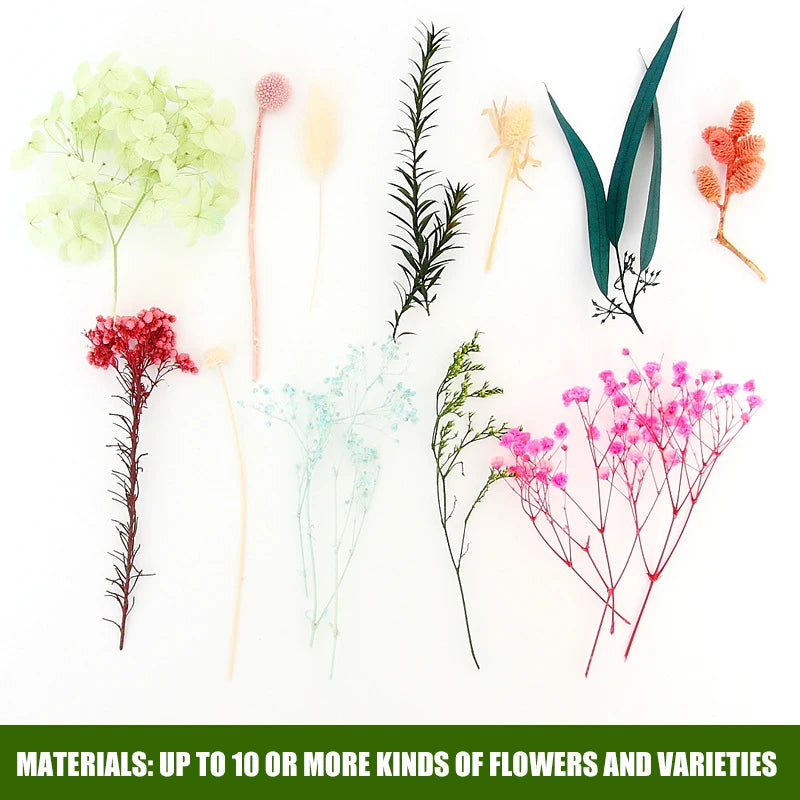 NONECN Real Dried Flowers Leaves Set for Craft Jewelry Resin