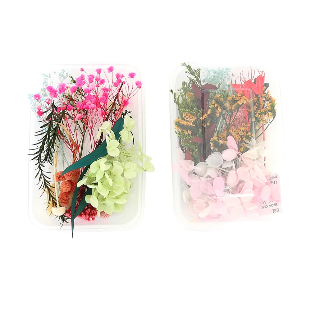 NONECN Real Dried Flowers Leaves Set for Craft Jewelry Resin