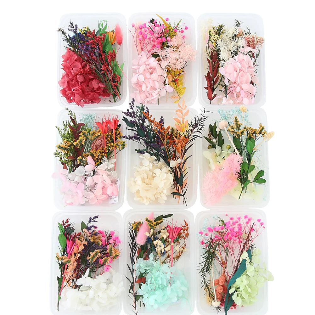 NONECN Real Dried Flowers Leaves Set for Craft Jewelry Resin